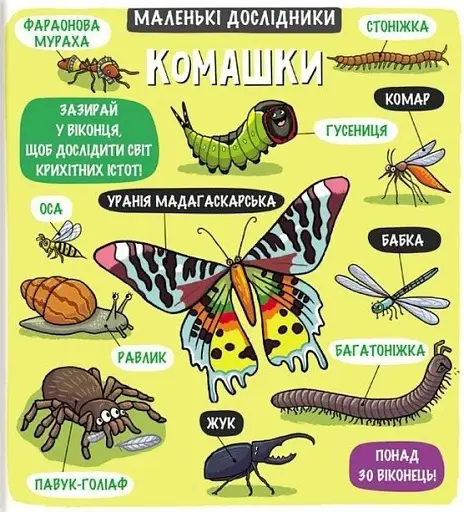 Маленькі дослідники. Комашки