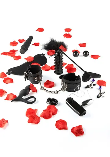 Набір секс-іграшок Toy Joy Amazing Pleasure Sex Toy Kit 10 шт. чорний - фото 3