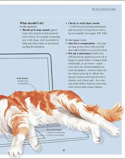 What's My Cat Thinking? Understand Your Cat to Give Them a Happy Life - фото 12