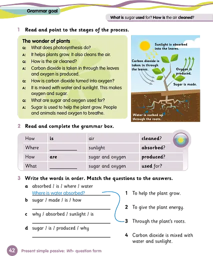 Grammar Goals. Level 5. Pupil's Book Pack - фото 7