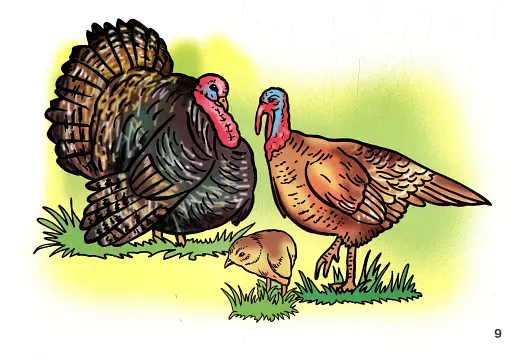 Я досліджую світ. 1-4 класи. Свійські тварини. Комплект наочності - фото 4