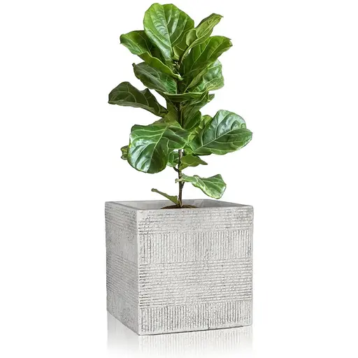 Кашпо Engard Оттава 28х28x28 см (GA67-1) - фото 2