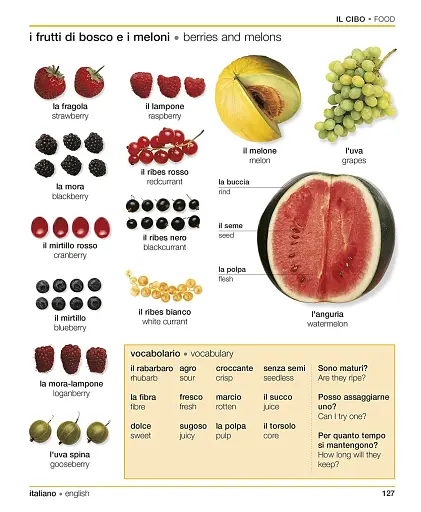 Словник Italian-English Visual Bilingual Dictionary with FREE Audio APP - фото 5