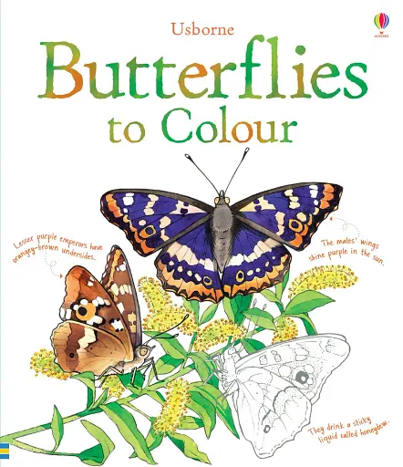 Colouring Book: Butterflies to Colour