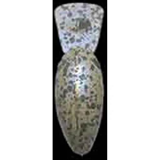 Воблер Smith Sibo-Cra MR-F 34mm 3.2g #08 Ilpere RP2 - фото 3