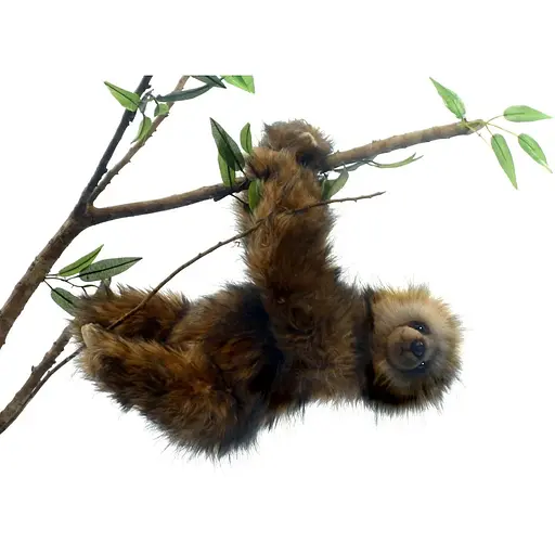 М'яка іграшка Hansa Лінивець трипалий 34 см (4580)