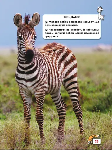 Світ навколо нас. Малята тварин - фото 3