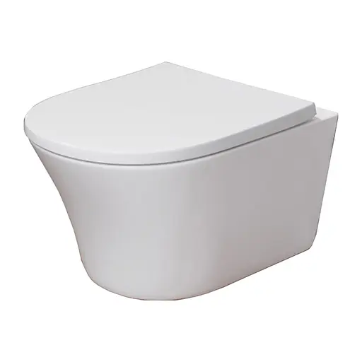 Унитаз подвесной AM.PM Tender безободковый с сиденьем Soft Close (C45A1700SC) - фото 1