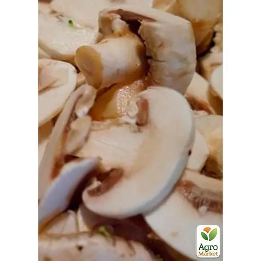 Міцелій на дубових брусочках "Шиитаке Білий Китайський" 10шт (45304) - фото 2