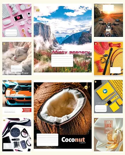 Зошити учнівські 48 аркушів клітинка Тверда 41503 Мікс д/х 1, 10 шт. в упаковці