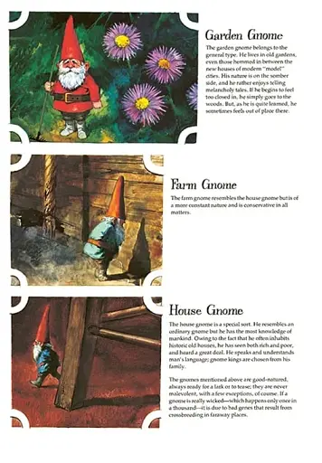 Gnomes - фото 4
