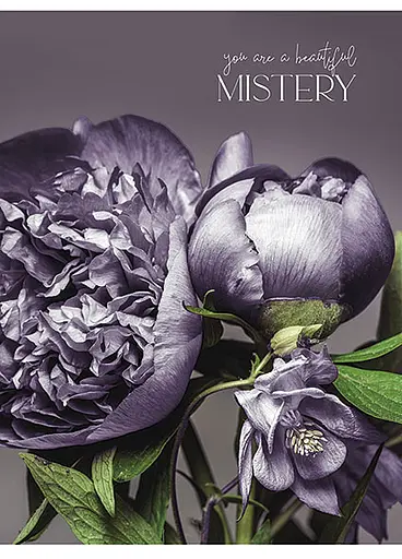 Комплект 4 шт загальних зошитів. Зошит Школярик А5 80 арк. у лінію 5074 4823088219333 - фото 4