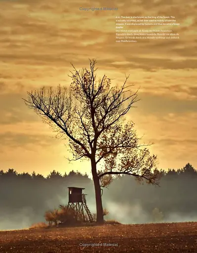 Hunting: The Ultimate Book - фото 5