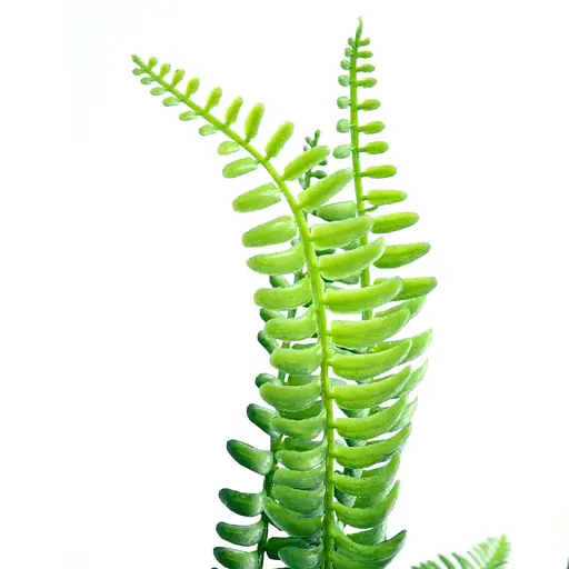 Искусственная ветвь Engard Папоротник 47 см (TW-46) - фото 5