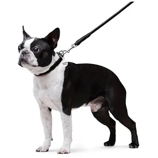 Повідець для собак Waudog Glamour шкіряний круглий, чорний - фото 5