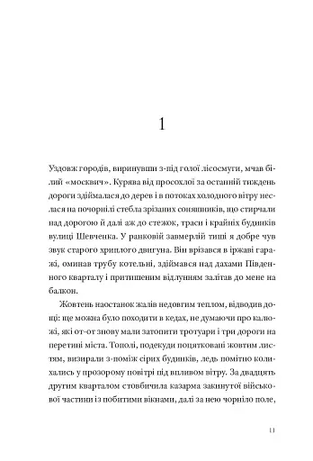 Кульбабове місто - фото 4