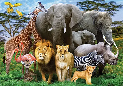 Пазли Тварини, 1000 елементів, С1000-10-09