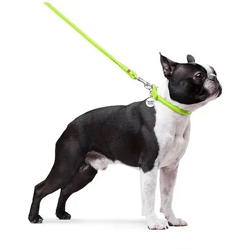 Повідець для собак Waudog Glamour шкіряний круглий, салатовий - фото 3