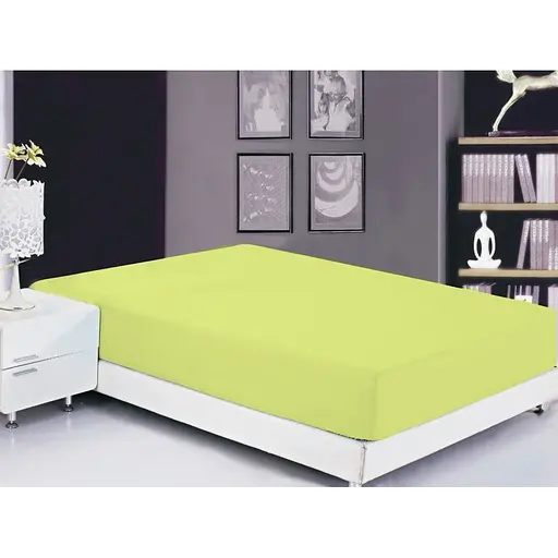 Простирадло на резинці TAG Tekstil Sunny Lime 160х200х20 см 000163546