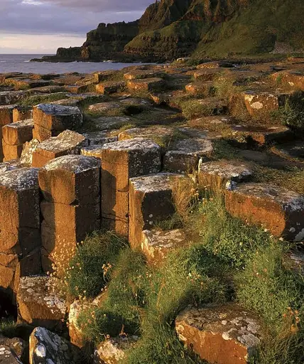 Wildlife of Britain and Ireland - фото 4