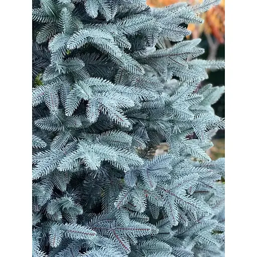 Елка Hvoya Classic Mix 260 см лита голубая - фото 4