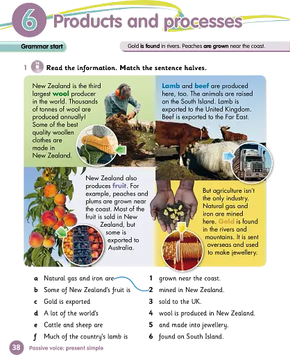 Grammar Goals. Level 5. Pupil's Book + eBook - фото 2