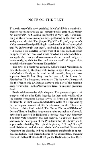 The Man Who Disappeared (America) - фото 6