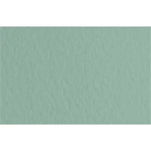 Бумага для пастели Fabriano Tiziano B2 (50х70см) №13 salvia 160г/м2 серо-зеленое среднее зерно - фото 1