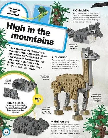 LEGO Animal Atlas - фото 3