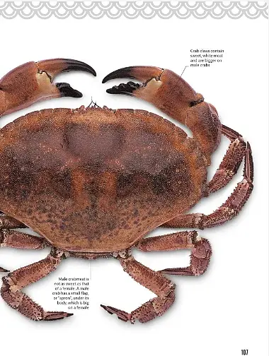 Sushi. Taste and Technique - фото 8