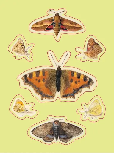 The Esoterica Sticker Book. From Astrology to Tarot - фото 8