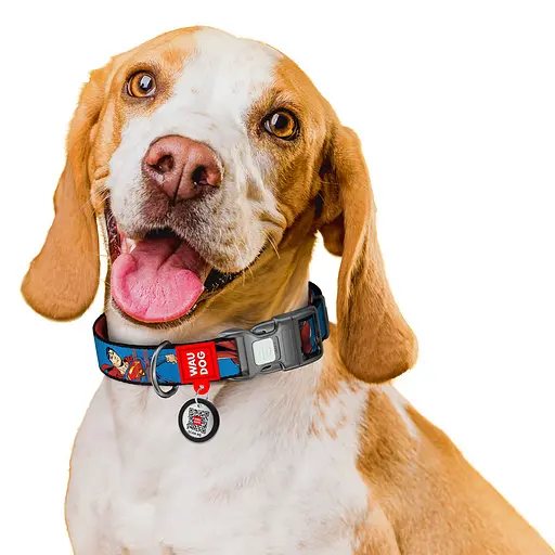 Ошейник для собак нейлоновый Waudog Nylon с QR-паспортом "Сила Супермена" пластиковый фастекс S Ш 15 мм Д 25-35 см - фото 3