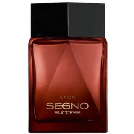 Парфумна вода Avon Segno Success для Нього 75 мл - фото 1