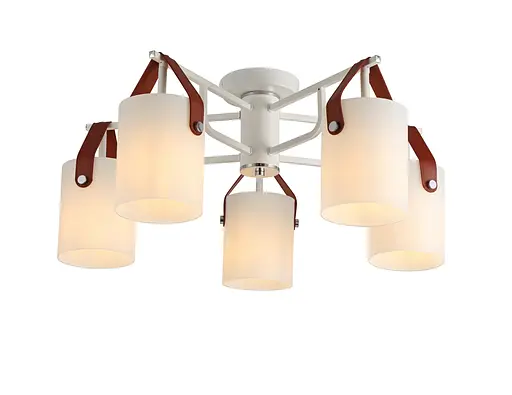 Потолочная люстра G 321035/5 CR+Matt white