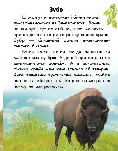 Читаю про Україну. Тварини гір - фото 5