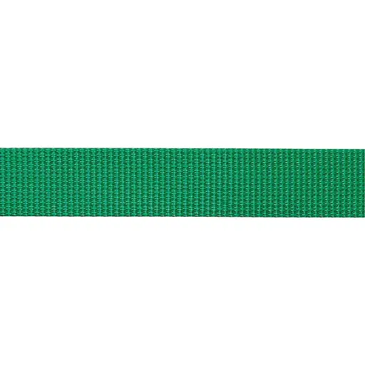 Стропа Beal Flat Tape Unie 26 мм x1 м (1046-BSP26UNI.100.G)