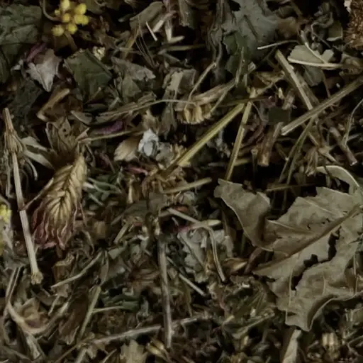 Збір трав'яний для зниження холестерину та чищення судин, 100 г, (Своє виробництво)