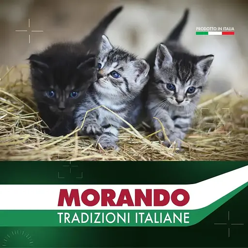 Сухой корм для котят Morando Tradizioni Kitten с курицей и лососем 400 г - фото 5