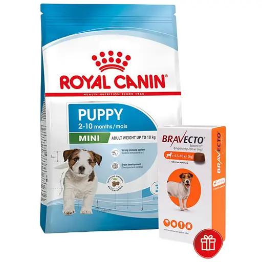 Сухий корм для цуценят дрібних порід Royal Canin Mini Puppy, з м'ясом птиці, 8 кг + Жувальна пігулка Bravecto від бліх і кліщів для собак з вагою 4.5-10 кг 1 шт. - фото 1