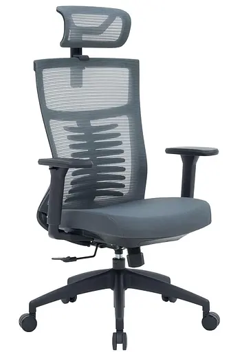 Офісне крісло OfficePro Balance OC550-B-DG-DG (OC550-B-DG-DG) - фото 1