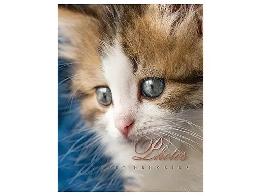 Альбом UFO PP-46200 Cat photo 10x15x200см (PP-46200 Cat photo) - фото 4