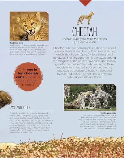 Born to be Wild. How Baby Animals Survive and Thrive - фото 3