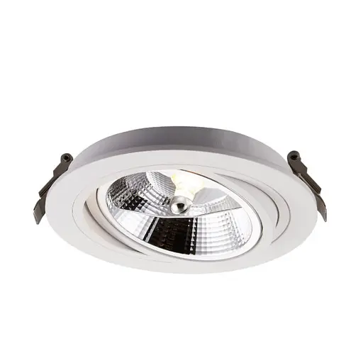 Точечный светильник CHUCK ARGU10-054 Zuma Line - фото 2