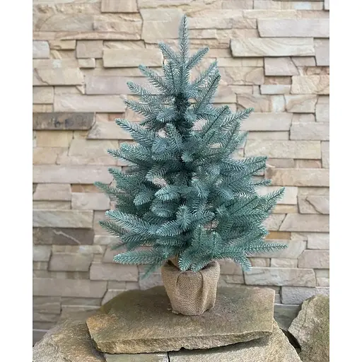 Ялинка Hvoya Classic лита пишна в мішковині 70 см блакитна