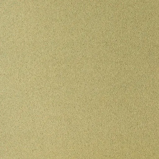 Бумага для пастели Sennelier с абразивным покрытием, 360 г/м, 65x50 см, Светло-зеленый - фото 2