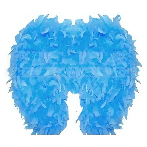 Крылья ангела - фото 1