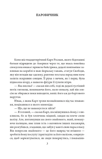 Америка - фото 4