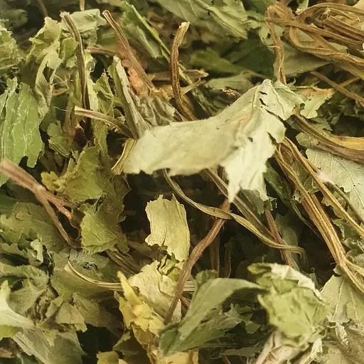 100 г яглиця звичайна трава сушена - свіжий урожай