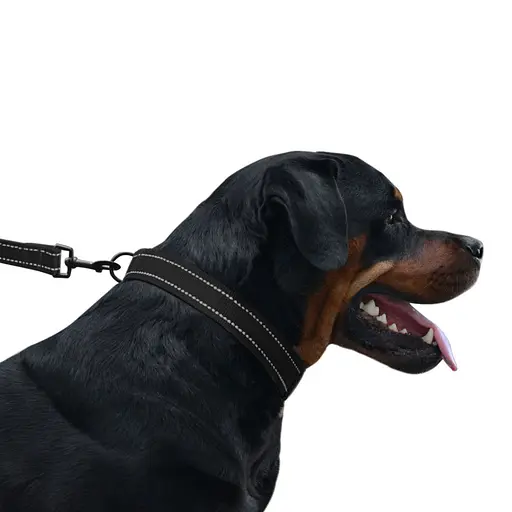 Поводок для собак Barksi Active 152х2 см черный - фото 6