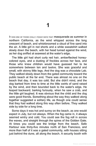 Safe Harbour - фото 4